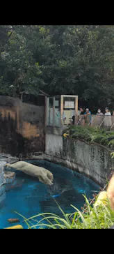天王寺動物園に投稿された画像（2023/9/25）