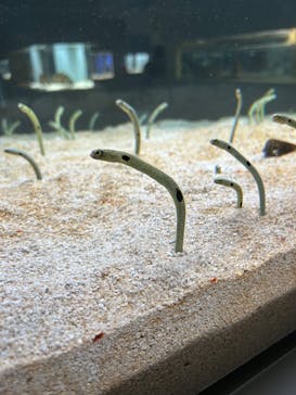 AOAO SAPPOROに投稿された画像（2023/9/25）