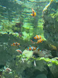 サンシャイン水族館に投稿された画像（2023/9/25）