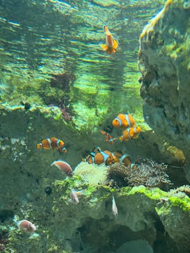 サンシャイン水族館に投稿された画像（2023/9/25）