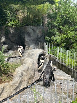 サンシャイン水族館に投稿された画像（2023/9/25）