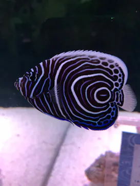 マクセル アクアパーク品川に投稿された画像（2023/9/25）