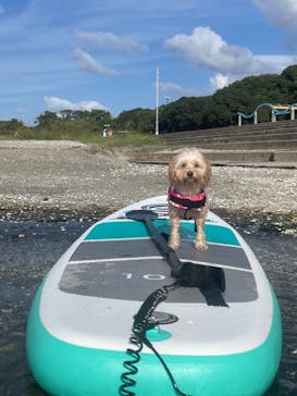 ちばみなとサップヨガに投稿された画像（2023/9/25）