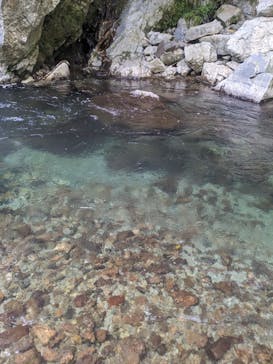 ヤマノリズムに投稿された画像（2023/9/25）