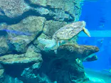 名古屋港水族館に投稿された画像（2023/9/25）