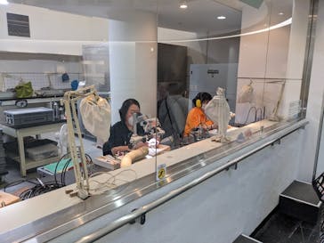 福井県立恐竜博物館に投稿された画像（2023/9/25）