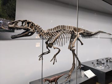 福井県立恐竜博物館に投稿された画像（2023/9/25）