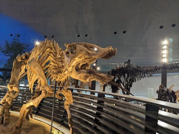福井県立恐竜博物館に投稿された画像（2023/9/25）
