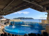 新江ノ島水族館に投稿された画像（2023/9/25）