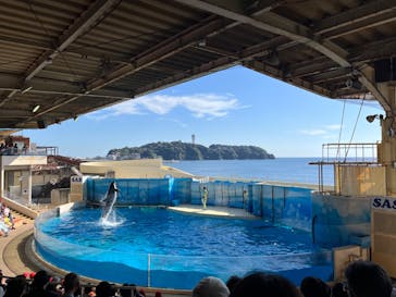 新江ノ島水族館に投稿された画像（2023/9/25）