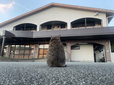 海女小屋体験施設さとうみ庵に投稿された画像（2023/9/25）