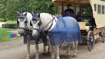 ノーザンホースパークに投稿された画像（2023/9/25）