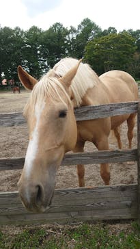 ノーザンホースパークに投稿された画像（2023/9/25）