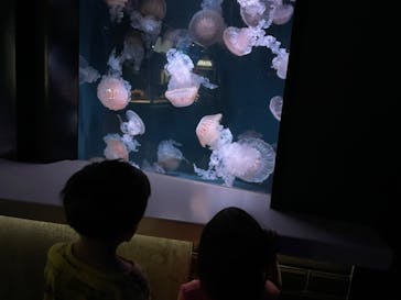 京都水族館に投稿された画像（2023/9/25）