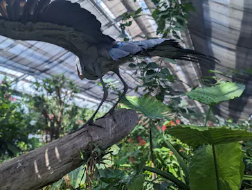 神戸どうぶつ王国に投稿された画像（2023/9/25）