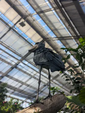 神戸どうぶつ王国に投稿された画像（2023/9/25）