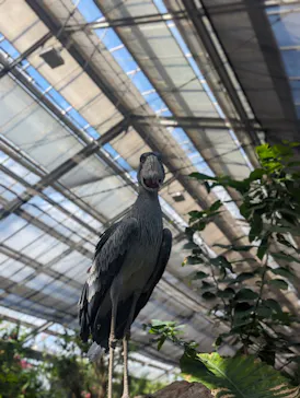 神戸どうぶつ王国に投稿された画像（2023/9/25）