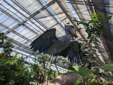 神戸どうぶつ王国に投稿された画像（2023/9/25）