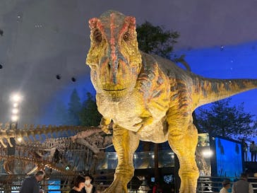 福井県立恐竜博物館に投稿された画像（2023/9/25）