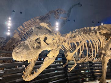 福井県立恐竜博物館に投稿された画像（2023/9/25）