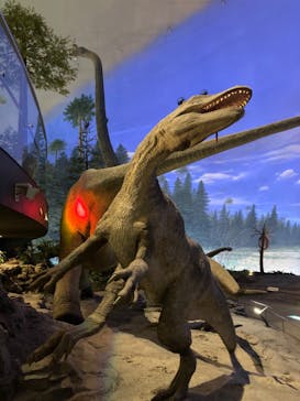 福井県立恐竜博物館に投稿された画像（2023/9/25）