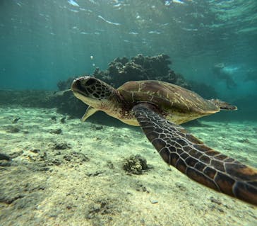 宮古島 ADVENTURE PiPi（ミヤコジマ アドベンチャー ピピ）に投稿された画像（2023/9/25）