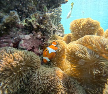 宮古島 ADVENTURE PiPi（ミヤコジマ アドベンチャー ピピ）に投稿された画像（2023/9/25）