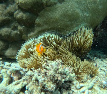 宮古島 ADVENTURE PiPi（ミヤコジマ アドベンチャー ピピ）に投稿された画像（2023/9/25）