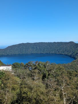 のぼりべつクマ牧場に投稿された画像（2023/9/22）