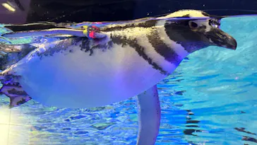 すみだ水族館に投稿された画像（2023/9/25）