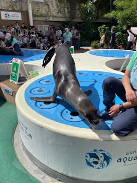 サンシャイン水族館に投稿された画像（2023/9/25）