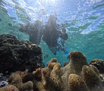 宮古島 ADVENTURE PiPi（ミヤコジマ アドベンチャー ピピ）に投稿された画像（2023/9/25）