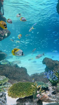 サンシャイン水族館に投稿された画像（2023/9/25）