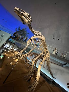 福井県立恐竜博物館に投稿された画像（2023/9/25）