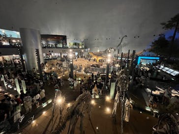 福井県立恐竜博物館に投稿された画像（2023/9/25）