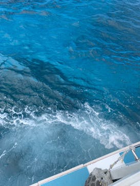 M.a.r.i.n.e Factoryに投稿された画像（2023/9/26）