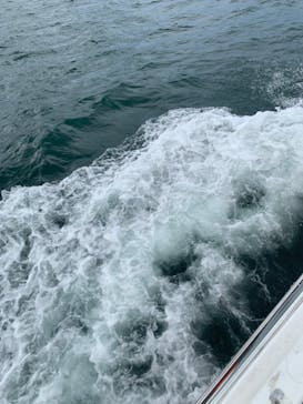 M.a.r.i.n.e Factoryに投稿された画像（2023/9/26）