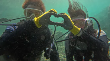 武藤潜水に投稿された画像（2023/9/26）