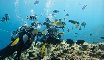 青の洞窟専門店　沖縄ダイビングショップ和に投稿された画像（2023/9/26）