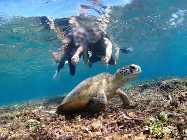 CHAMP TOUR　宮古島に投稿された画像（2023/9/25）