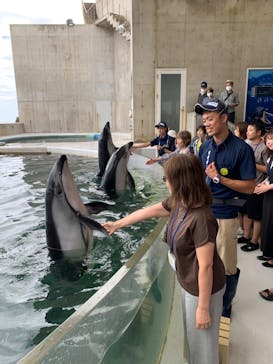 城崎マリンワールドに投稿された画像（2023/9/26）