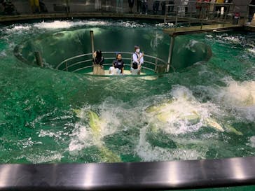 城崎マリンワールドに投稿された画像（2023/9/26）