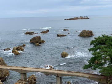 城崎マリンワールドに投稿された画像（2023/9/26）