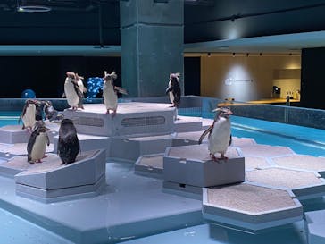 AOAO SAPPOROに投稿された画像（2023/9/26）