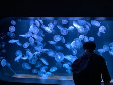 AOAO SAPPOROに投稿された画像（2023/9/26）