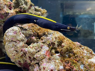 AOAO SAPPOROに投稿された画像（2023/9/26）