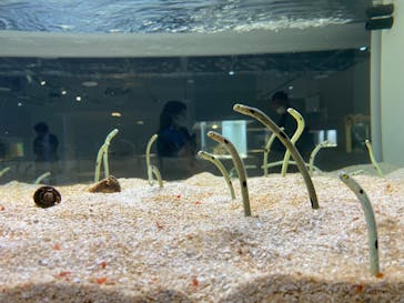 AOAO SAPPOROに投稿された画像（2023/9/26）