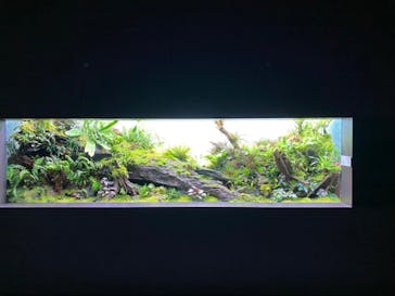 AOAO SAPPOROに投稿された画像（2023/9/26）