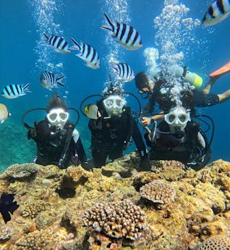 青の洞窟専門店　沖縄ダイビングショップ和に投稿された画像（2023/9/25）