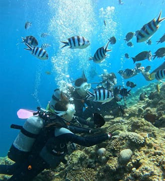 青の洞窟専門店　沖縄ダイビングショップ和に投稿された画像（2023/9/25）